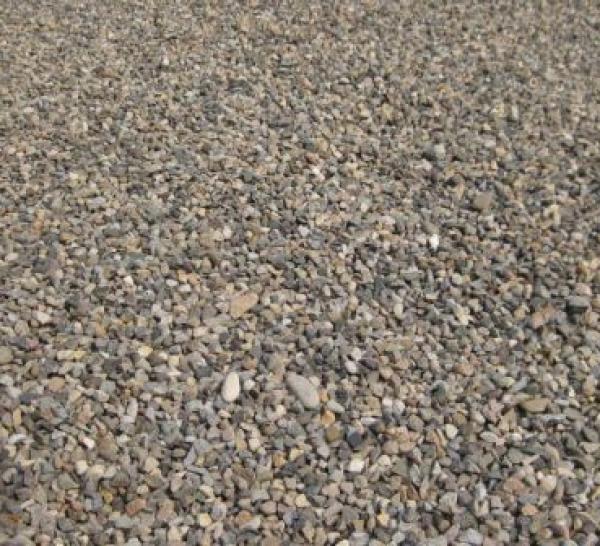 ���w������ŵĉ���