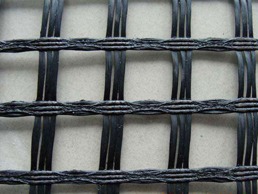 ��������w�S�������