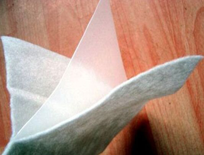 ����ͺ�����Ĥ